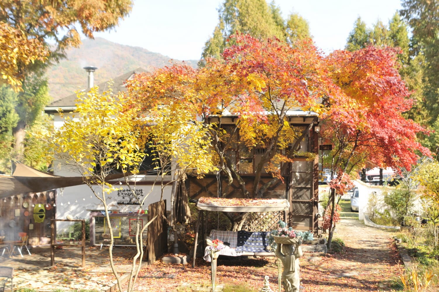Little Forest Stay <작은숲>